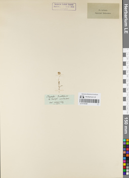 LE 01161487