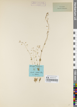 LE 01161506
