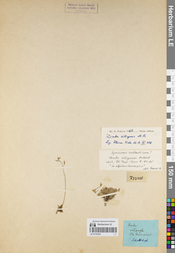 LE 01161521