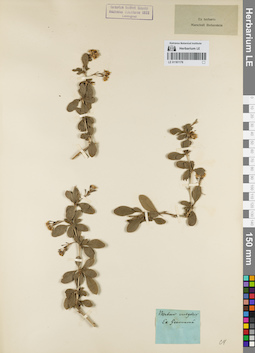 LE 01161176