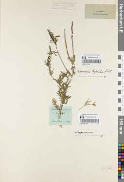 LE 01161190