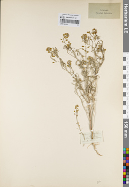 LE 01161225