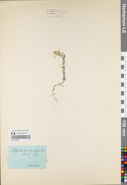 LE 01161229