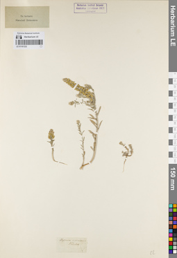 LE 01161232