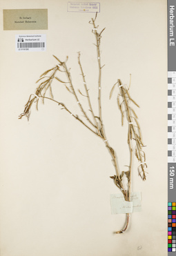 LE 01161292