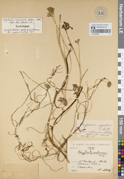 LE 01072844