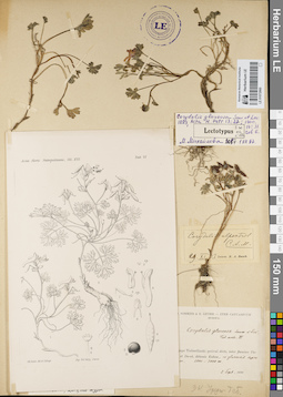LE 01072860
