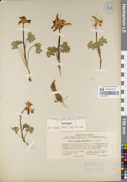 LE 01072869