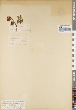 LE 01072874