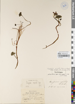 LE 01072878