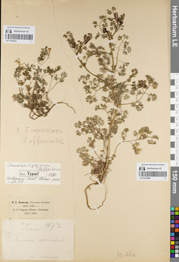 LE 01072886