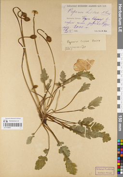 LE 01180457