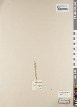 LE 01155070