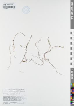 LE 01108273