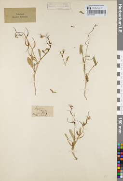 LE 01161046