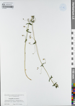 LE 01109157