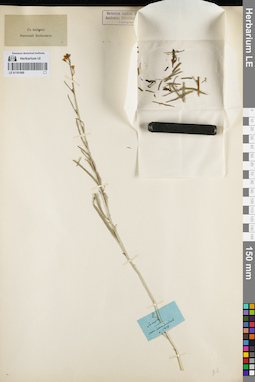 LE 01161069