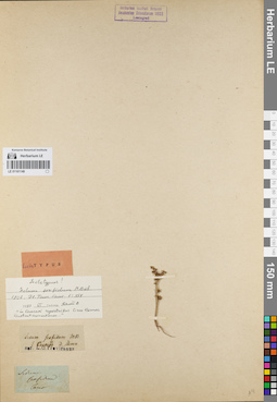 LE 01161149