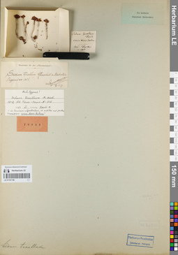 LE 01161156