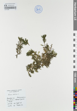 LE 01121863