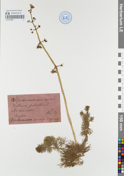 LE 01121864
