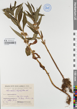 LE 01121875