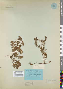 LE 01072349