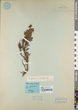 LE 01072350
