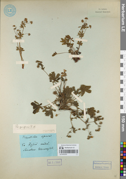 LE 01072370