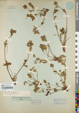 LE 01072372