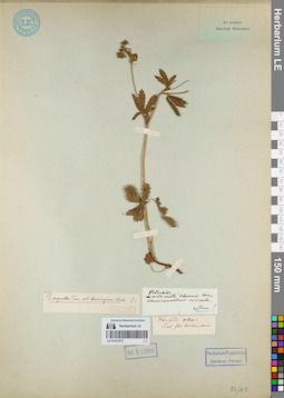 LE 01072373