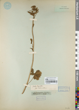 LE 01072375