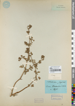 LE 01072383