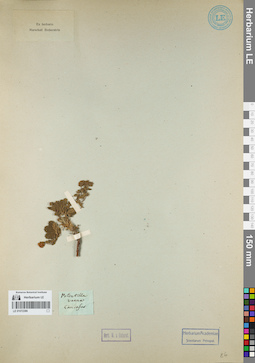 LE 01072386