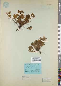 LE 01072387
