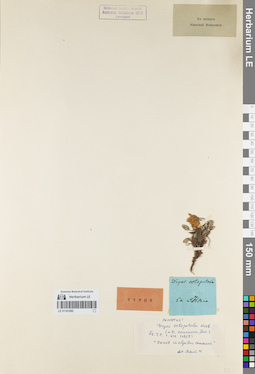 LE 01161582