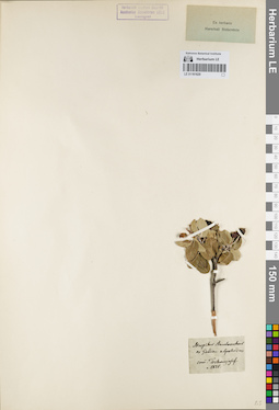 LE 01161620