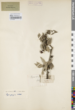 LE 01161628