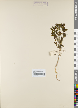LE 01070972