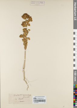 LE 01070973