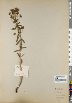 LE 01070992