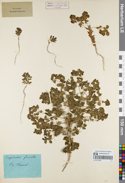 LE 01071002