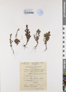 LE 01107337