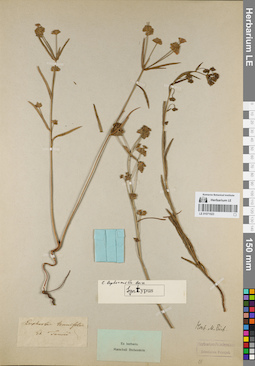LE 01071023