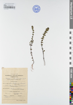 LE 01107343