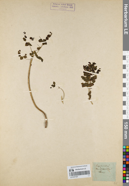 LE 01071027