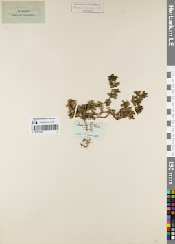 LE 01071032