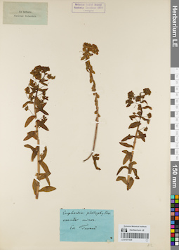 LE 01071039