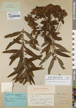 LE 01071040