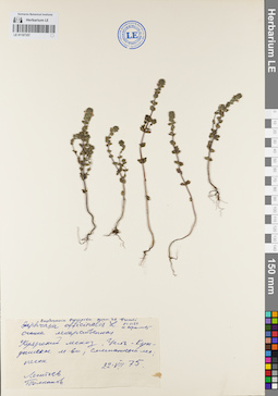 LE 01107357